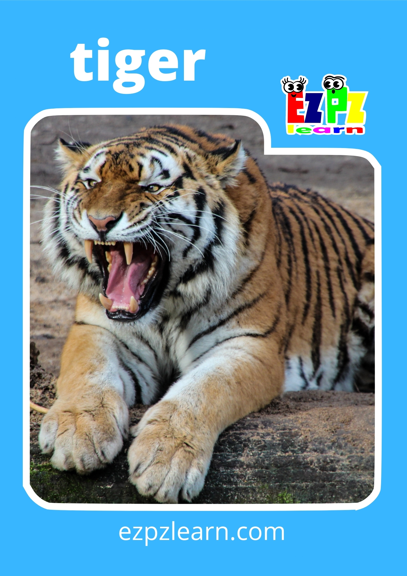 Wild Animals Flashcards with Photos Flashcards View Online or PDF Download